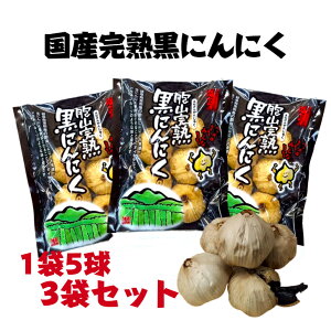 Yy򕌌bߎYzERiȂjnɂɂ5 1 bߍɂɂ ɂɂ򕌌 򕌌ɂɂ ȍɂɂ bߎR Ђ Â _炩 e N R t[e