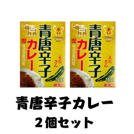 【岐阜県恵那産】青唐辛子カレー 2個セット 国産 安心 岐阜県 えな 恵那産 ひがしの 東野 辛い 生産者 唐辛子　青唐辛子 カレー お手軽 簡単 レトルトご当地カレー ご当地