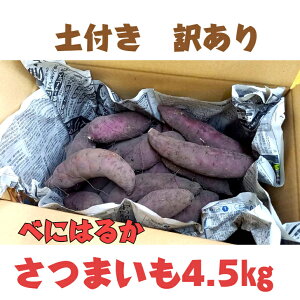 ܂4.5L 󂠂  Yn Â ׂɂ͂邩 Y e 򕌌Y bߎs