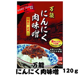 国産【岐阜県恵那産】万能にんにく肉味噌 国産 安心 岐阜県 えな 恵那産 ひがしの 東野 にんにく 味噌 生産者 安全 レトルト お手軽 ご当地