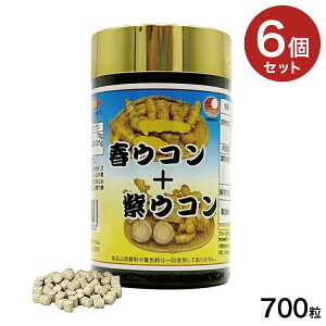 tER{ERk700l×6bNN~LxŒڂ̏tERƃ_CGbgŒڎERvXI