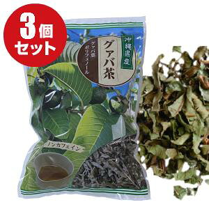 グァバ茶 沖縄の人気商品 通販 価格比較 価格 Com