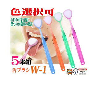 y܂Ƃߔz5{g FI uV LPA FI\ W-1(_u) N[i[ SHIKIEN 㖁   L\h L΍  L { L  ݂   o 