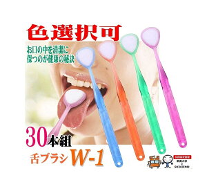 y܂Ƃߔz30{ FI VLG uV LPA W-1(_u) N[i[ SHIKIEN 㖁   L\h L΍  L { L  ݂   o  