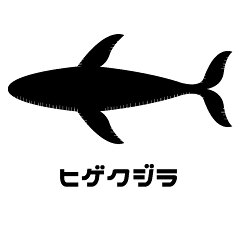 ヒゲクジラ