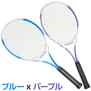 硬式テニスラケット 2本セット テニスボール4個入 初心者向 JOHNSON HB-19