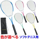 軟式テニスラケット ソフトテニス ラケット 1本 初心者用 JOHNSON HB-2200 ブルー ピンク パープル グリーン イエロー