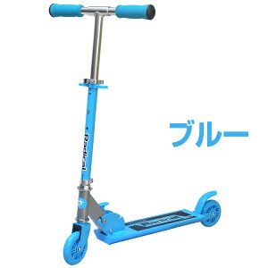 LbN{[h qp WjALbNXN[^[ Radical ubN u[ sN