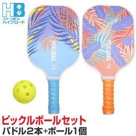 KASACA ピックルボールセット パドル2本 ボール1個付き レジャー用 初心者用 PICKLEBALL PADDLE SET 正規輸入品 送料無料