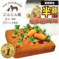 1位受賞【期間限定300円OFFクーポン】 ノーズワーク にんじん 犬のおもちゃ ペット にんじん 畑 人参 ペ…