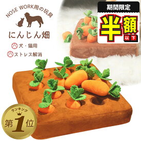 1位受賞 【期間限定300円OFFクーポンあり】 ノーズワーク にんじん 犬のおもちゃ ペット にんじん 畑 人参 ペット用品 犬 にんじん畑 ノーズワークマット 訓練 用品 嗅覚 トレーニング 犬 知育玩具 知育