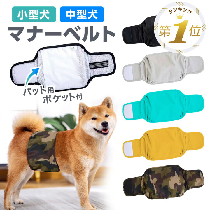 楽天市場】1位受賞【簡単装着】 犬 マナーベルト ずれない 男の子 オス 