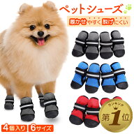 【1位受賞】【期間限定100円OFFクーポン】 犬 靴 脱げない 履かせやすい 散歩 春 夏 秋 冬 アスファルト …