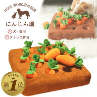 1位受賞【期間限定300円OFFクーポン】 ノーズワーク にんじん 犬のおもちゃ ペット にんじん 畑 人参 ペ…