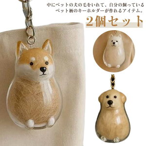 P[X TGh R[M[ ybg   ^[{bNX ѓ Lƌ̖ю[p 2Zbg ybg voۑ є[ 2Zbg ѓ S[fgo[ AP[