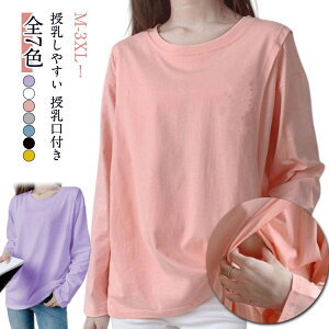 N[lbN H t  ێ gbvX n TVc oY ێ TVc t ̌^Jo[ S gbvX Ci[ ֗  eB[Vc Jbg\[ `jbN O 