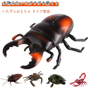  TvCY  ԊO WR j̎q Jf J}L C  T\ hbL av[g ̎q nEB A SLu  ߋ a NX}X v