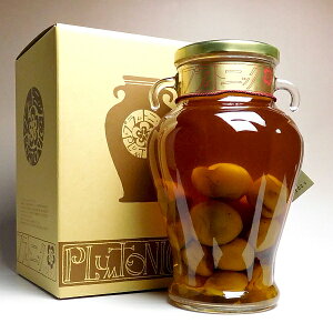 vgjbN~\i΂j16x1500ml yR𑢏zy~ ߎ  yY yV v[g Mtg yz