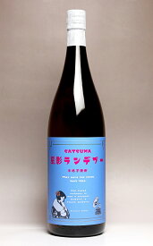 星影ランデブー 25度1800ml【田崎酒造】【芋焼酎 いも焼酎 鹿児島 あす楽 特撰】