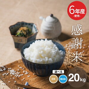 󂠂 6NĎgp Y100 6NYyӕāz 20kg 20kg   20kg    R  20kg   kome ~p p