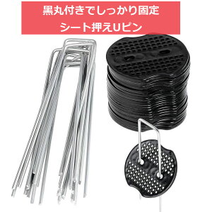 yHigood zhV[g s UsY 100{ 15cm 3mm 4mm ەt Œs Us V[g hV[gs V[g sDz K[fjO |pi ƒ؉ _Ǝ Gh~V[g