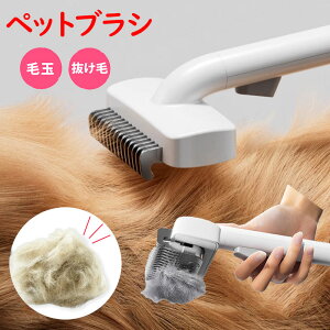 yVzybgpuV ыʎ R[ O[~OuV ybgR[ ы&_юR[ XeX ybgpi  я ɂȂ яȒP ܂菜