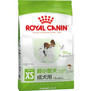 CJi TCY wX j[gV GNXgX[ A_g 3kgk25090522ddl