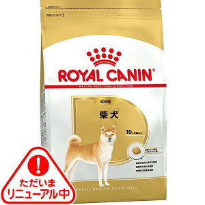 CJi u[h wX j[gV Č p 10ȏ 800gk25100543ddlk25090522ddl