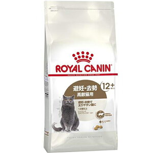 CJi tB[C wX j[gV GCWO XeACYh 12+ 12Έȏ 4kgk2509078cdl