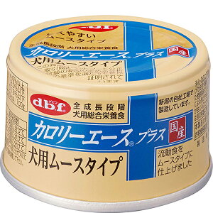 J[G[XvX p[X^Cv 85g×24