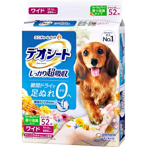 fIV[g 蒴z L^Cv t[O[OX̍ Ch 52k2507216dtl
