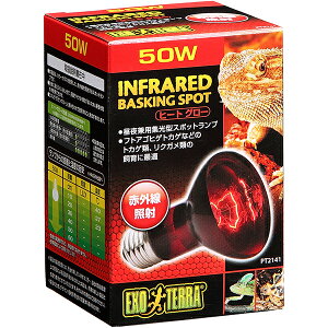 �q�[�g�O���[ 50w