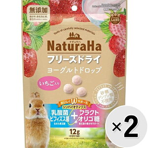 yZbg̔zi`n t[YhC [Oghbv  12g×2R