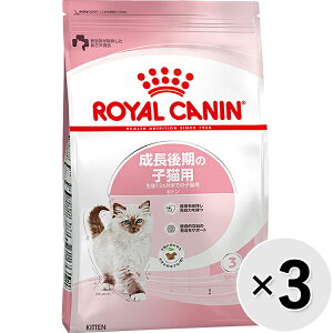 yZbg̔zCJi tB[C wX j[gV Lg ̎qLp 12܂ 400g×3Rk25100721cdlk25090712cdl