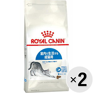 yZbg̔zCJi tB[C wX j[gV ChA Ő鐬Lp 127΂܂ 4kg×2Rk25090711cdl