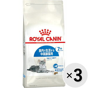 yZbg̔zCJi tB[C wX j[gV ChA 7+ Ő钆Lp 7΂12΂܂ 400g×3Rk25100721cdl