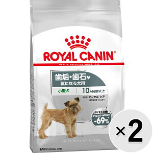 yZbg̔zCJi P[iC PA j[gV ~j f^PA CE΂CɂȂ錢p ^ 800g×2Rk25090538ddl