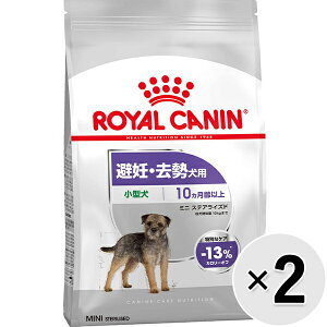 yZbg̔zCJi ~j XeACYh DEp ^ 800g×2Rk25090538ddl