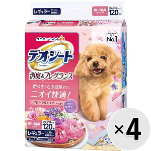 yP[X̔zfIV[g LtOX t[V{̍ M[ 120×4Rk25102111dtlk25092112dtl