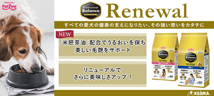 1881円 国内最安値! プロフェッショナル バランス 1歳まで 子いぬ用 6kg 1881円 国内最安値! プロフェッショナル バランス 1歳まで 子いぬ用 6kg