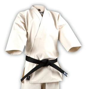 yISAMIzCT~@㐻tR^Ng K-401 ߂̂ 4^5