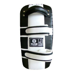 yISAMIzCT~@LbN~bgTS@FS-12@1P