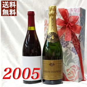 VpE 2005N ԃC 750ml 2{Zbg i Mtg j Vg[EFC [2005] tX Be[W C ~fBA{fB 17N a  LO v