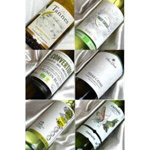 Rh C t{gi ݔ 6{ZbgyCZbgzyRh C rI C bio zyyV ʔ ̔z