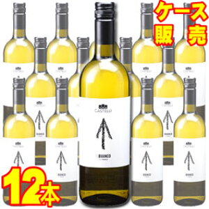 yzC@rAR@750ml@12{Zbg@P[X̔yKiE񂹕izBjFfBI C^AC/C/h/750ml×12yP[XzyƖpz