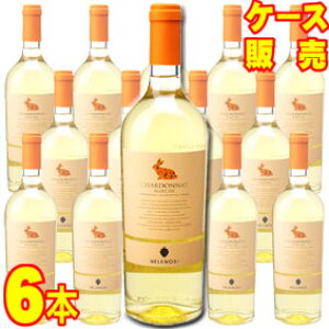 yzFm[W@Vhl@750ml@6{Zbg@P[X̔yKiE񂹕izFm[W C^AC/C/h/750ml×6yP[XzyƖpz