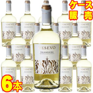 yzF[[H t@M[i@750ml@6{Zbg@P[X̔yKiE񂹕izF[[H C^AC/C/h/750ml×6yP[XzyƖpz