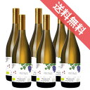 ルート・デュ・ソレイユ　オーガニック ブラン ハーフボトル 6本セット Route Du Soleil Organic Blanc 1/2 ルート・デュ・ソレイユ/フランスワイン/ラングドック/白ワイン/辛口/ 375ml × 6 /ビオロジック 【 自然派ワイン ビオワイン 有機 オーガニック 】