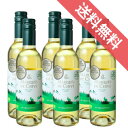 マルケス・デ・チベ オーガニック ホワイト ハーフボトル 6本セット Marques de Chive Organic White1/2 マルケス・デ・チベ/スペインワイン/バレンシア/白ワイン/辛口/ 375ml × 6 /ビオロジック 【 自然派ワイン ビオワイン 有機 有機栽培 オーガニック 】