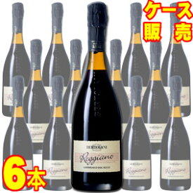 【送料無料】レッジャーノ　ランブルスコ　セッコ　フリッツァンテ　750ml　6本セット　ケース販売【正規品・取り寄せ品】アルフレード ベルトラーニ イタリアワイン/エミリア ロマーニャ/スパークリングワイン/辛口/750ml×6【まとめ買い】【ケース売り】【業務用】